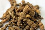 黄连的功效与作用，清热去火，抗炎抑菌，降低血糖