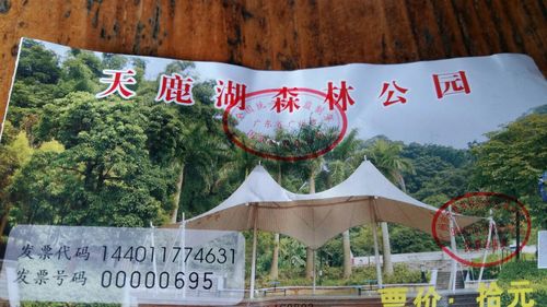 天鹿湖森林公园：广州市的自然与人文宝藏