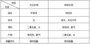 光合作用的意义：维持碳氧平衡与提供能量与原料