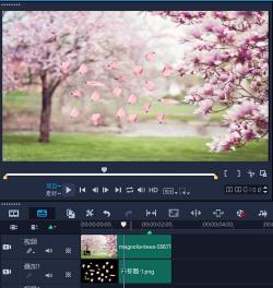 会声会影12素材下载：一键导入，创意无限