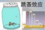 为什么青蛙可以跳得比树高：脑筋急转弯的背后逻辑