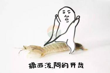 皮皮虾表情包大全：网友创意无限，网络文化新现象