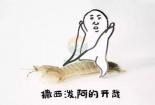 皮皮虾表情包大全：网友创意无限，网络文化新现象