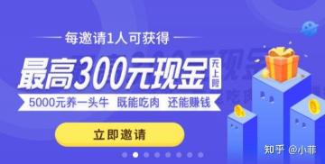 全民养牛真相揭秘：投资前必须了解的关键信息