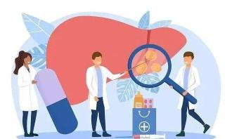 肝移植：手术成功率、风险与术后恢复指南