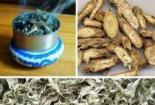 艾叶熏房子能杀菌消毒吗：探索艾草的天然消毒之力