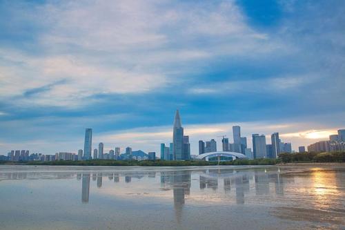 深圳湾公园：深圳的海滨绿洲与全民休闲胜地