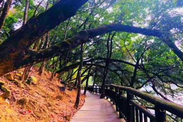 天竺山国家森林公园：自然与人文的完美融合