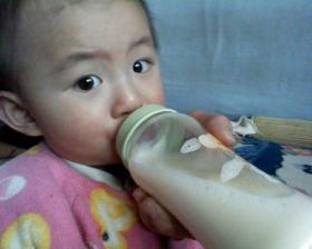 水苏——孩子脾胃健康的守护者