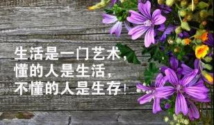 花的句子，感受自然之美：唯美心情短语，让心灵得到绽放