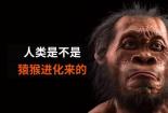 手指长的人：进化与功能的奥秘