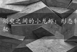 须臾之间的小龙虾：形态特征、生活习性与分布的奥秘