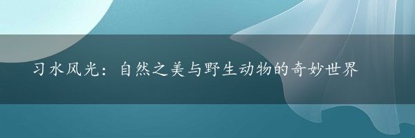 习水风光：自然之美与野生动物的奇妙世界