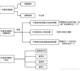 理性是什么意思：探索理性的本质与特点