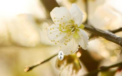 赞美初春的十首经典诗句，让你感受春天的无限魅力！