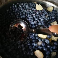 东菱面包机：轻松制作美味蓝莓果酱