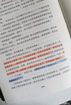 自由作文300字：追寻内心的自由与真实