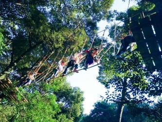 丛林冒险攻略：飞越丛林的全方位体验与探索指南