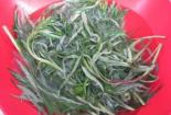 凉拌柳蒿芽：夏日清爽小菜（附柳蒿芽图片）