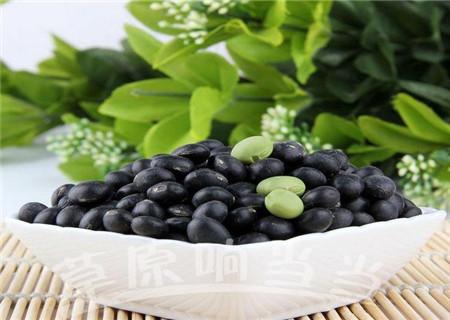 黑豆的功效与作用及食用方法：让你健康又美丽