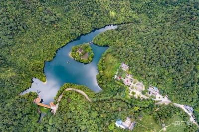 宝安碧海湾公园：深圳市的绿色明珠，亲近自然与运动的绝佳之地