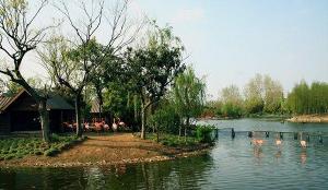 扬州凤凰岛生态旅游区：自然与人文的和谐画卷
