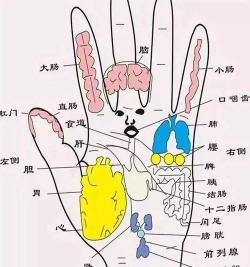 手掌心按摩：促进血液循环、缓解疲劳、改善手部功能的秘诀！