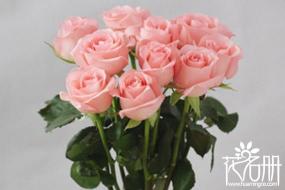 形容鲜花的词语：从古典到现代，探索美丽的花语世界