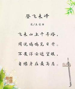 二翁登泰山：一段不畏艰险的冒险之旅