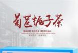 菊苣栀子茶：多效合一，守护您的健康