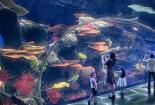 浩海立方海洋馆：探秘深海的奥秘与美丽