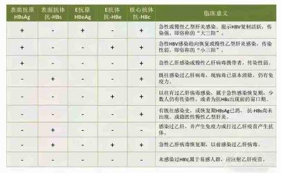 乙肝核心抗体：了解它的意义与影响