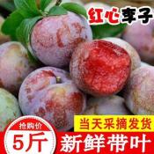 武平特产：芙蓉李——历史悠久，口感绝佳，营养价值高
