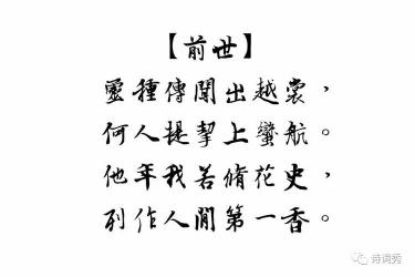 残留的回忆：前世之约与今生之爱的纠葛