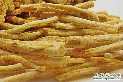 北沙参的功效：益胃生津、提升免疫力的天然草药