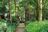 桂林园林植物园：与大自然共舞的绿洲
