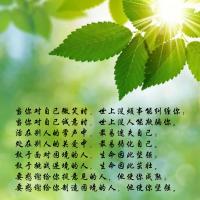 林中小溪读后感：勇敢面对困境，寻找生命的意义