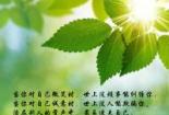 林中小溪读后感：勇敢面对困境，寻找生命的意义
