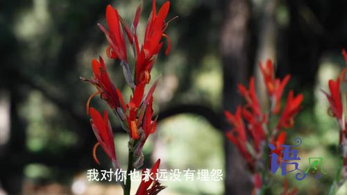 一日不见，如隔三秋：情感深处的漫长等待