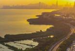 玉蜓桥下的公园：玉蜓公园，感受都市与自然的和谐之美