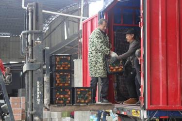 白斑成因揭秘：如何形成与背后的五大元凶