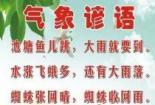 关于清明节谚语：农耕智慧与自然的和谐共舞