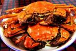 河蟹不能和什么一起吃：揭秘与河蟹相忌的食物