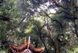 武定狮子山：云南的自然奇观，沉醉于壮丽山峰的魅力