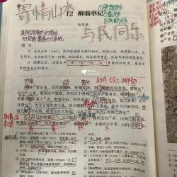 湖心亭看雪客：张岱笔下的明末文坛遗珠