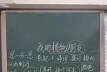 我的语文老师：指引我前行的明灯