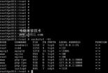 FreeBSD下载：稳定且灵活的UNIX系统，支持多平台安装