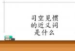 绝无仅有的近义词：探寻稀有独特之物的替代表达