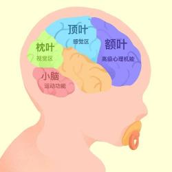 儿童脑发育不良：早期识别与综合治疗