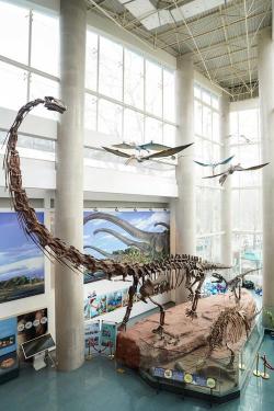 南京古生物博物馆：探索地球历史的奇妙之旅